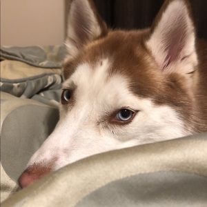 Meet your Posher, Beatriz